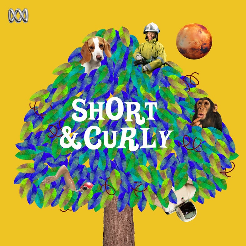 Cover of "short and curly"