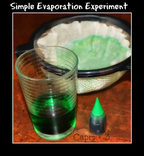 Simple evaporation experiment using food coloring.