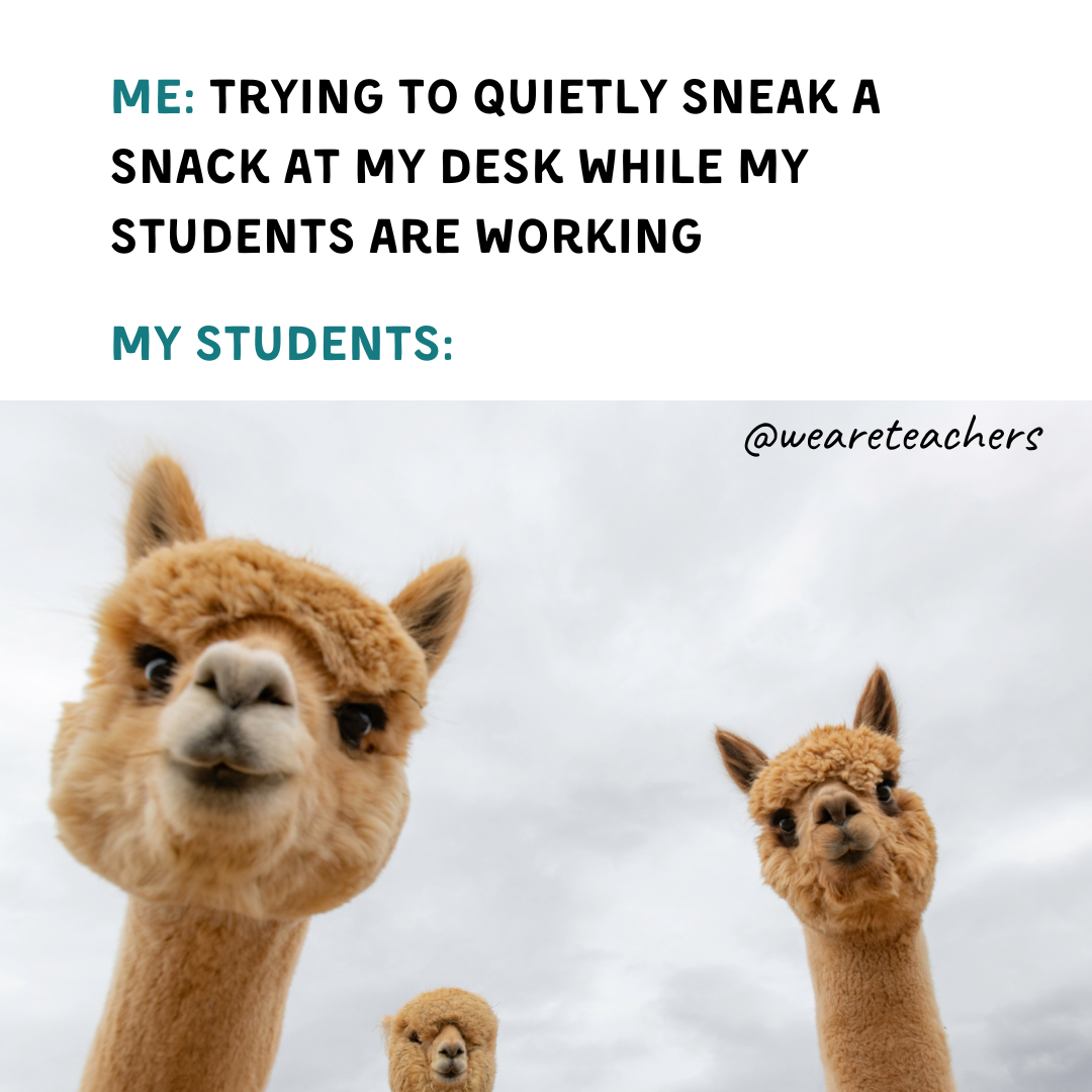 Funny School Memes That Are All Too Relatable - Illuminati Press