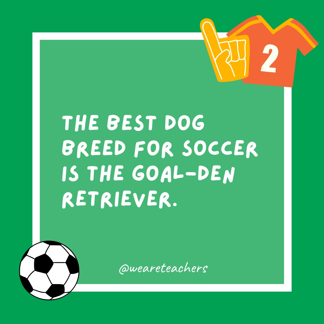 The best dog breed for soccer is the goal-den retriever.