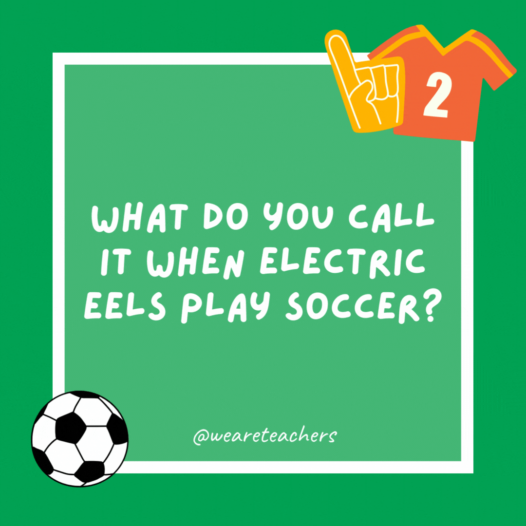 What do you call it when electric eels play soccer?

Shocker.