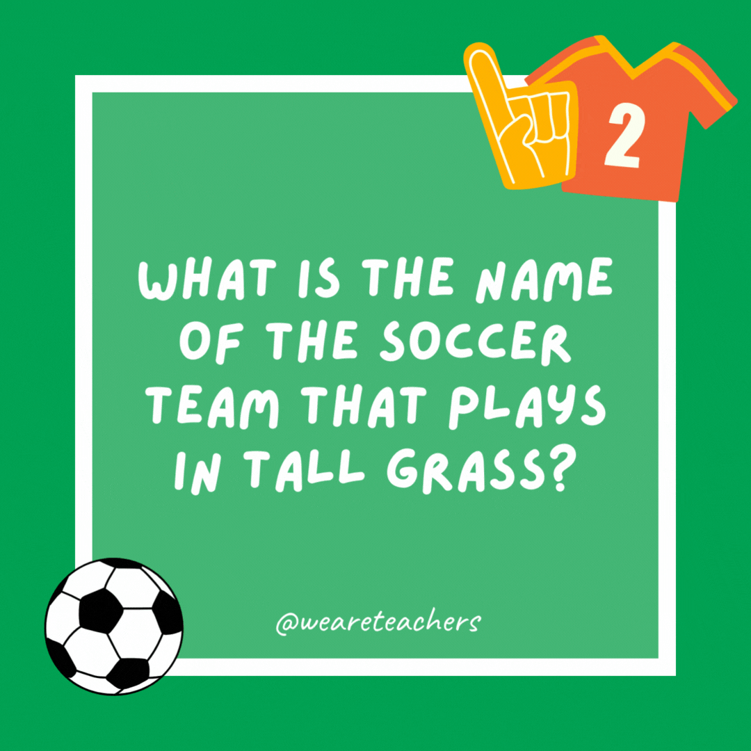 What is the name of the soccer team that plays in tall grass?

Weeds United.