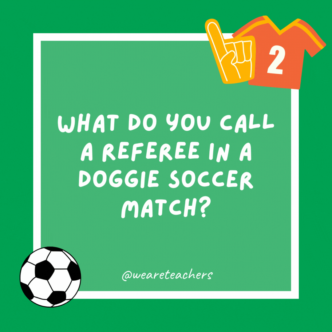 What do you call a referee in a doggie soccer match?

A rufferee.
