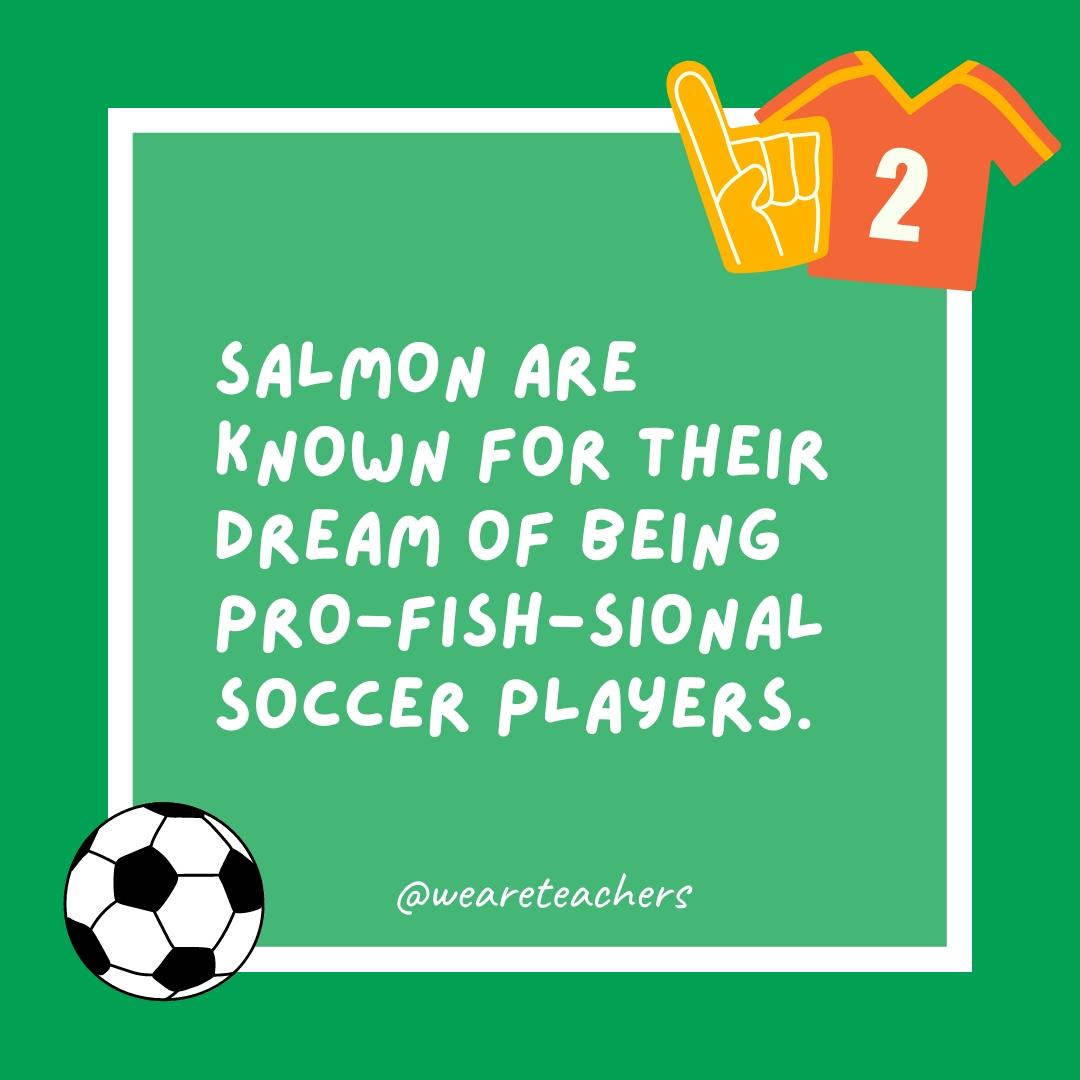 Salmon are known for their dream of being pro-fish-sional soccer players.