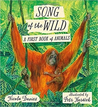 Book cover for Song of the Wild: A First Book of Animals