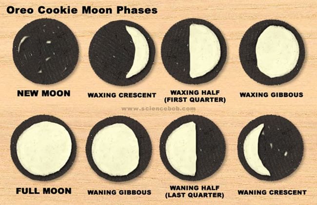 Oreo cookie moon phases activity card showing 8 oreos with varying amounts of cream filling representing the phases of the moon