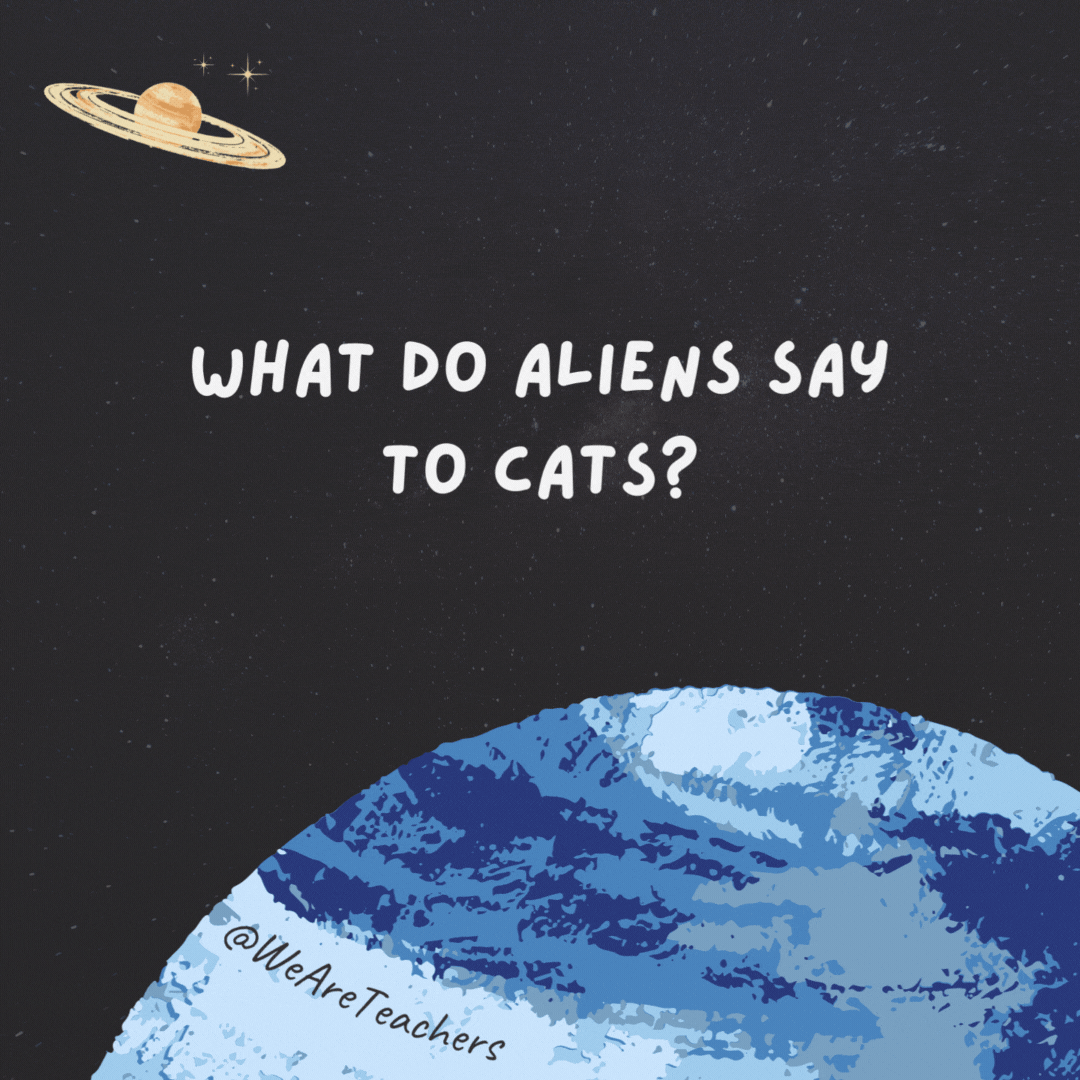 What do aliens say to cats? 

Take me to your litter.