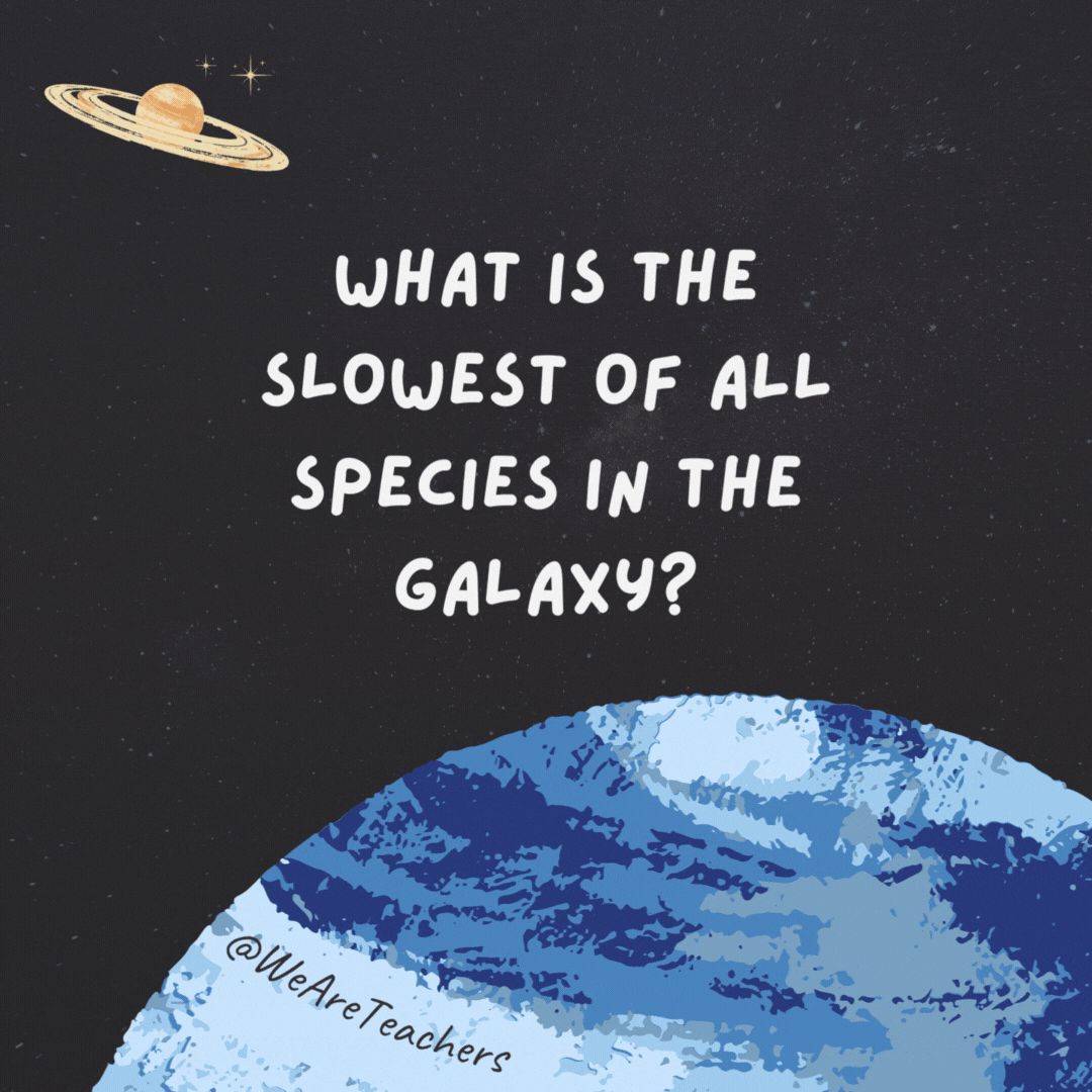 What is the slowest of all species in the galaxy?

Snailiens.- space jokes