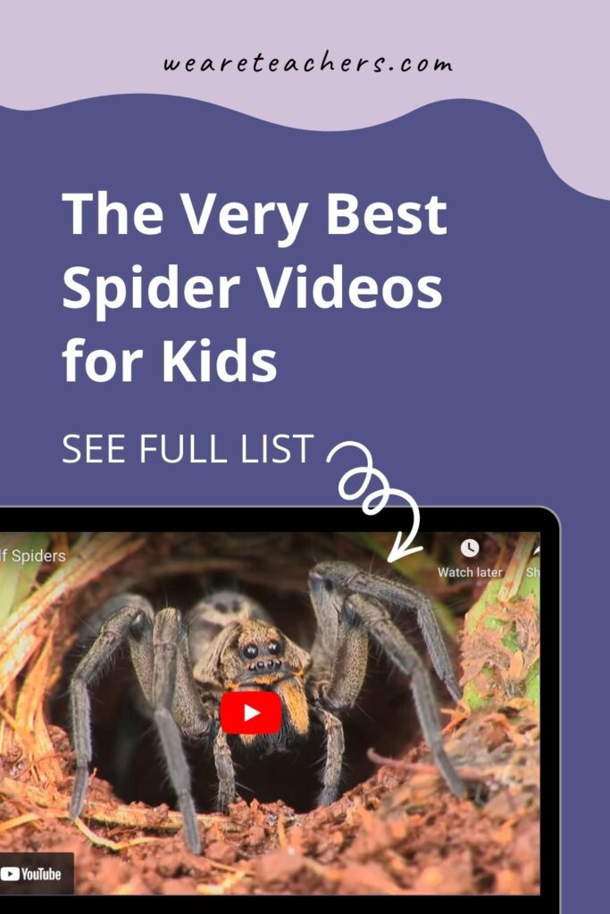 We rounded up our favorite spider videos for kids, full of all kinds of fun facts for the arachnophile in all of us.