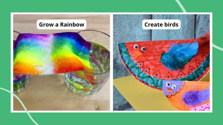 Spring activities for preschool including a rainbow paper towels in glasses of waters and a paper plate bird craft.