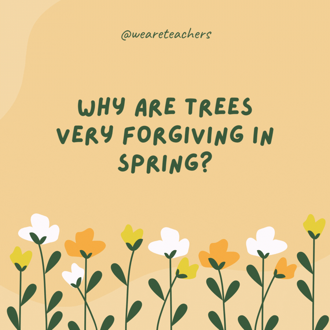 Why are trees very forgiving in spring?

Because they "turn over a new leaf."