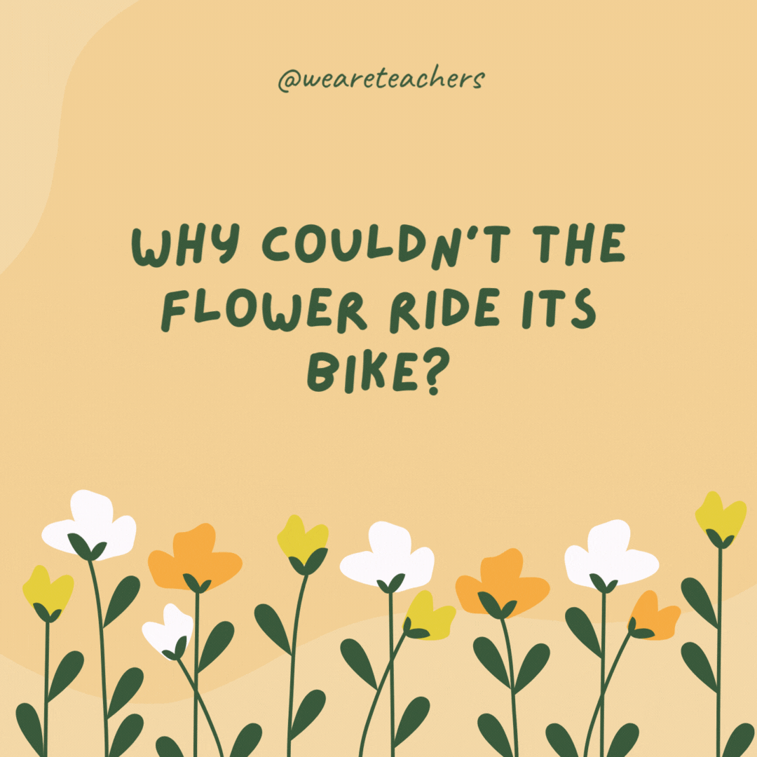 Why couldn’t the flower ride its bike?

It lost its petals.