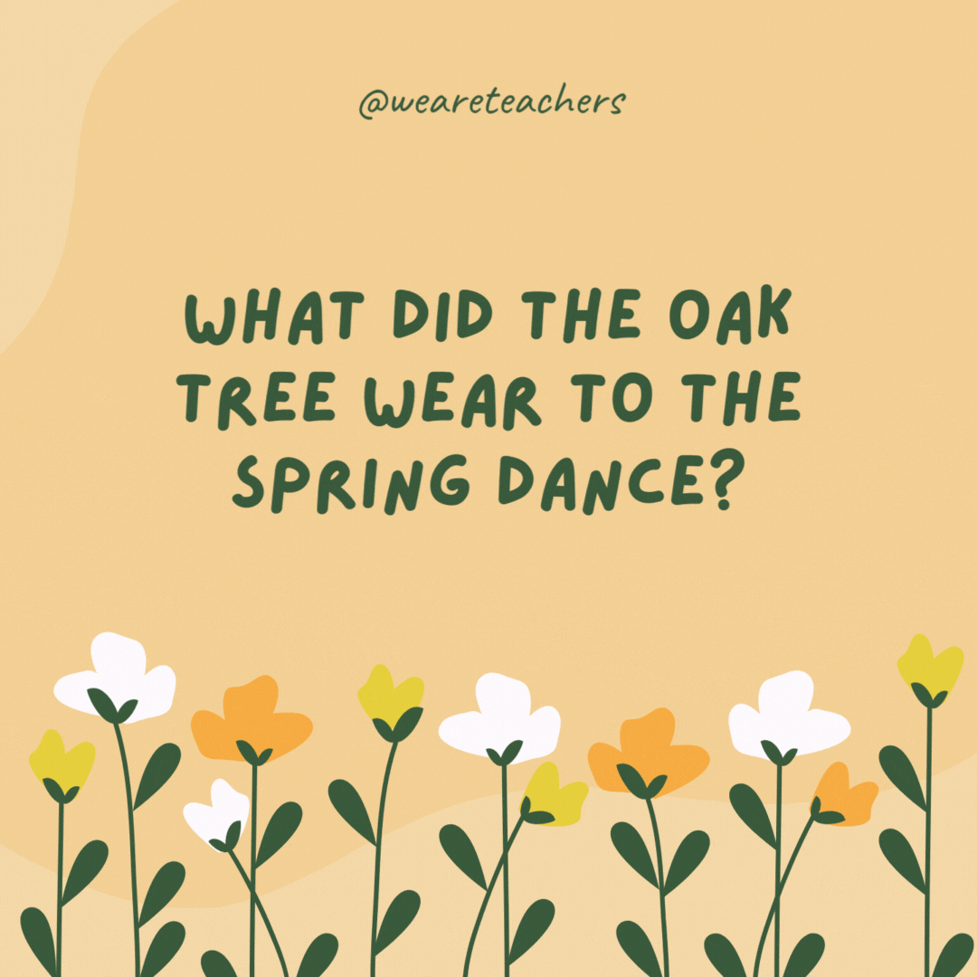 What did the oak tree wear to the spring dance?

Wooden shoes.- spring jokes