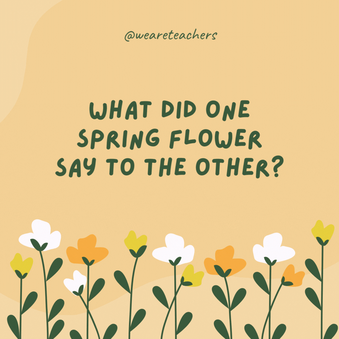 What did one spring flower say to the other?

