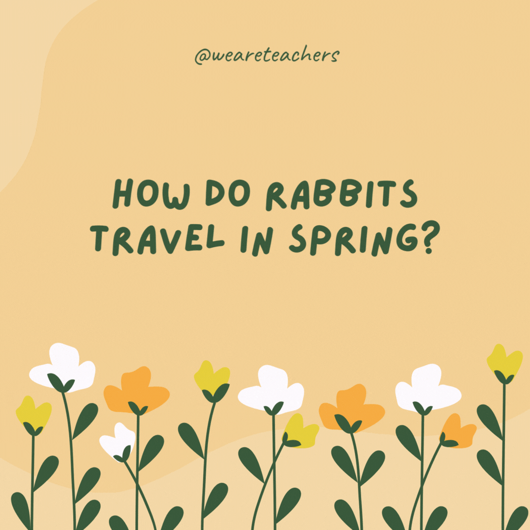 How do rabbits travel in spring?

By hareplane.- spring jokes
