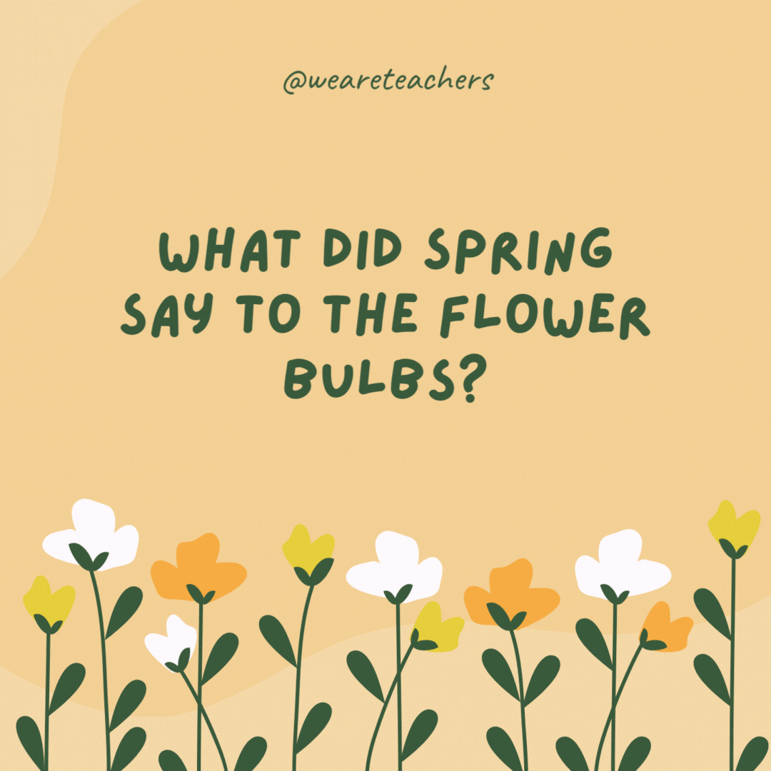 What did spring say to the flower bulbs?

"It's time to wake up and smell the roses!"- spring jokes