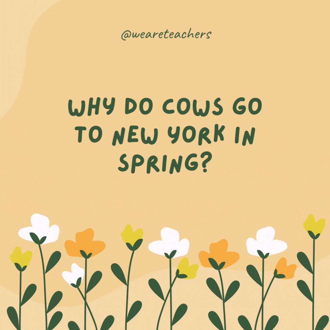 Why do cows go to New York in spring?

To see the moo-sicals!