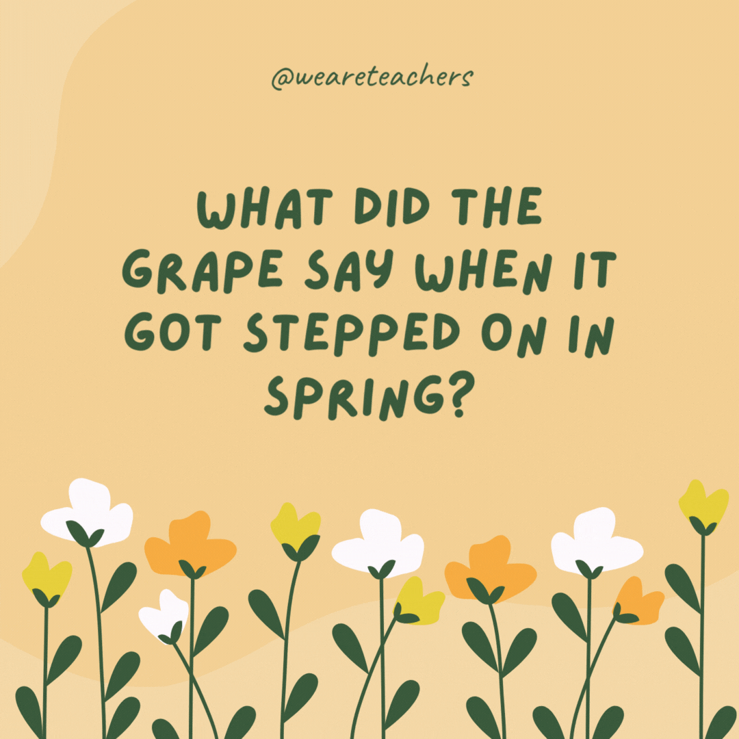 What did the grape say when it got stepped on in spring?

Nothing, it just let out a little wine.- spring jokes