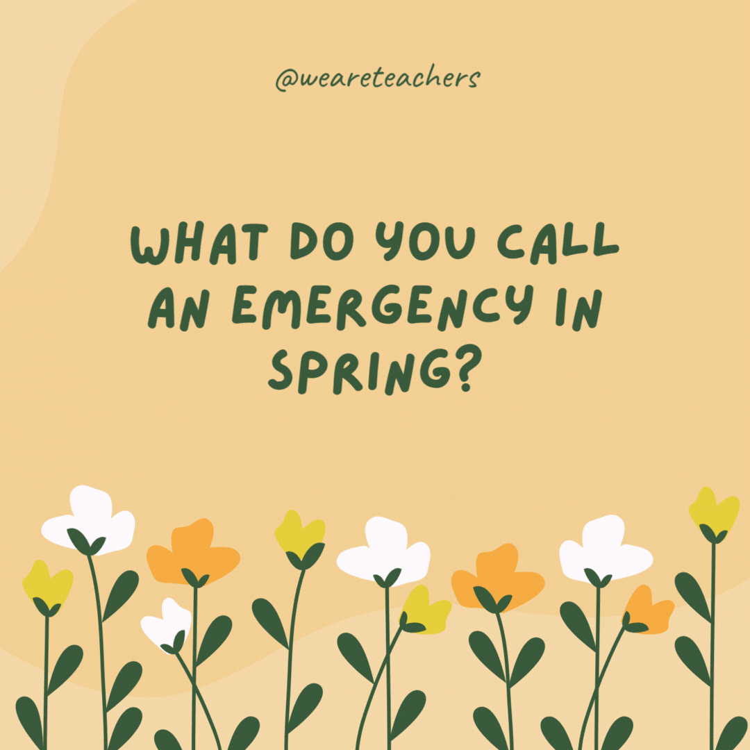 What do you call an emergency in spring?

May Day.
