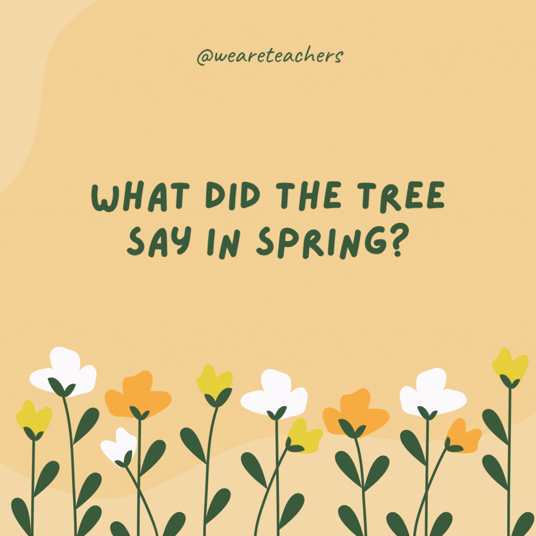 What did the tree say in spring?

What a re-leaf!