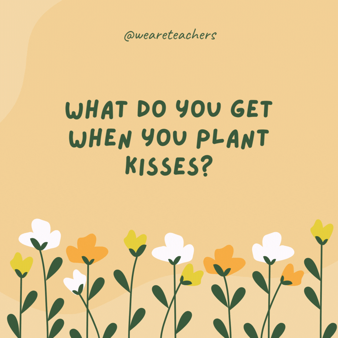 What do you get when you plant kisses?

Tu-lips.