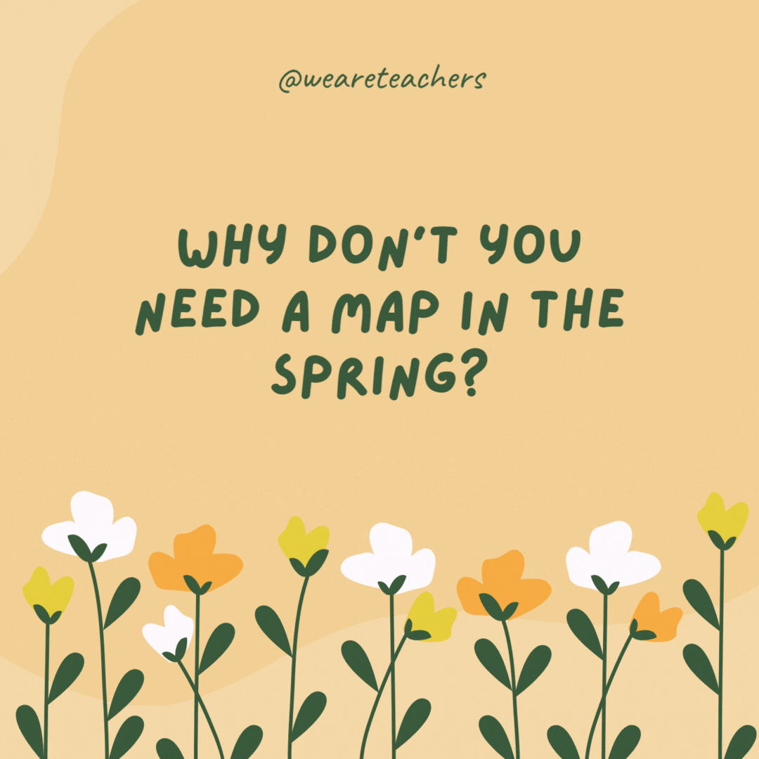 Why don't you need a map in the spring?

Because the flowers start to show their true colors.