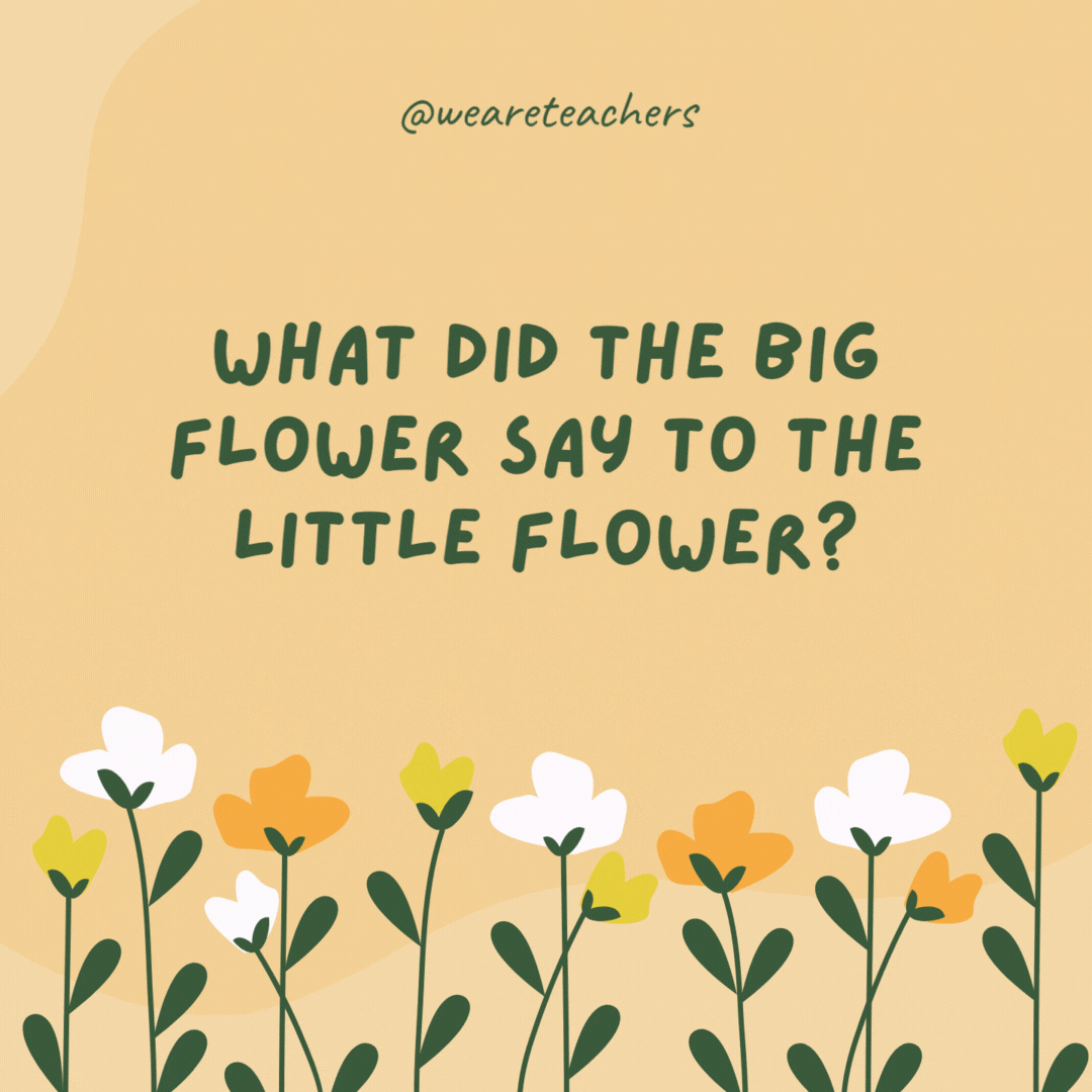 What did the big flower say to the little flower?

"Hi, bud!"