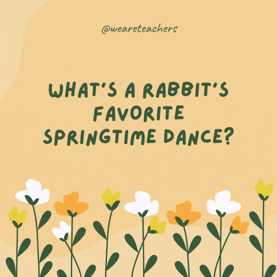 What’s a rabbit’s favorite springtime dance?

The bunny hop.