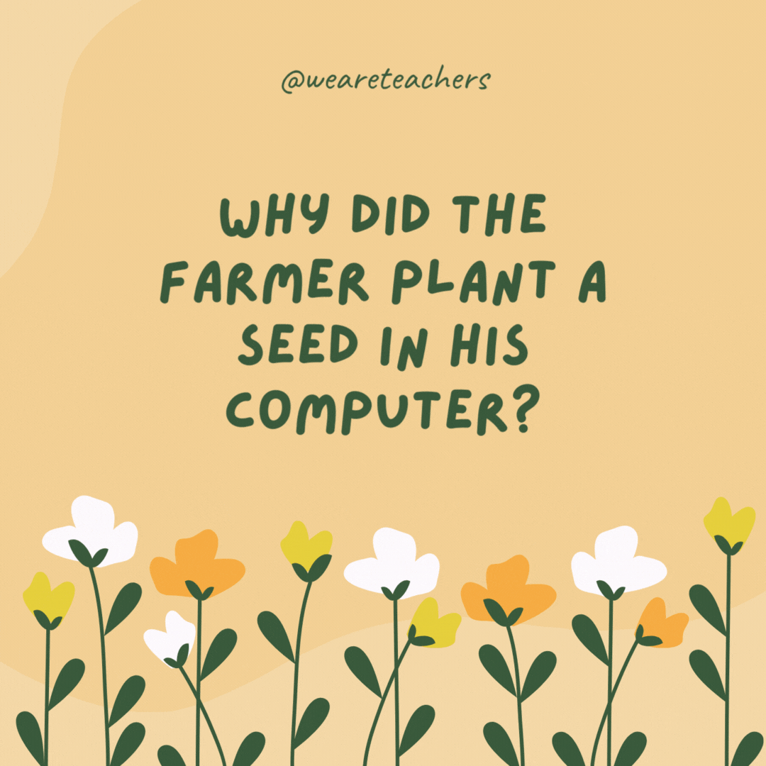 Why did the farmer plant a seed in his computer?

He wanted to download some spring flowers!