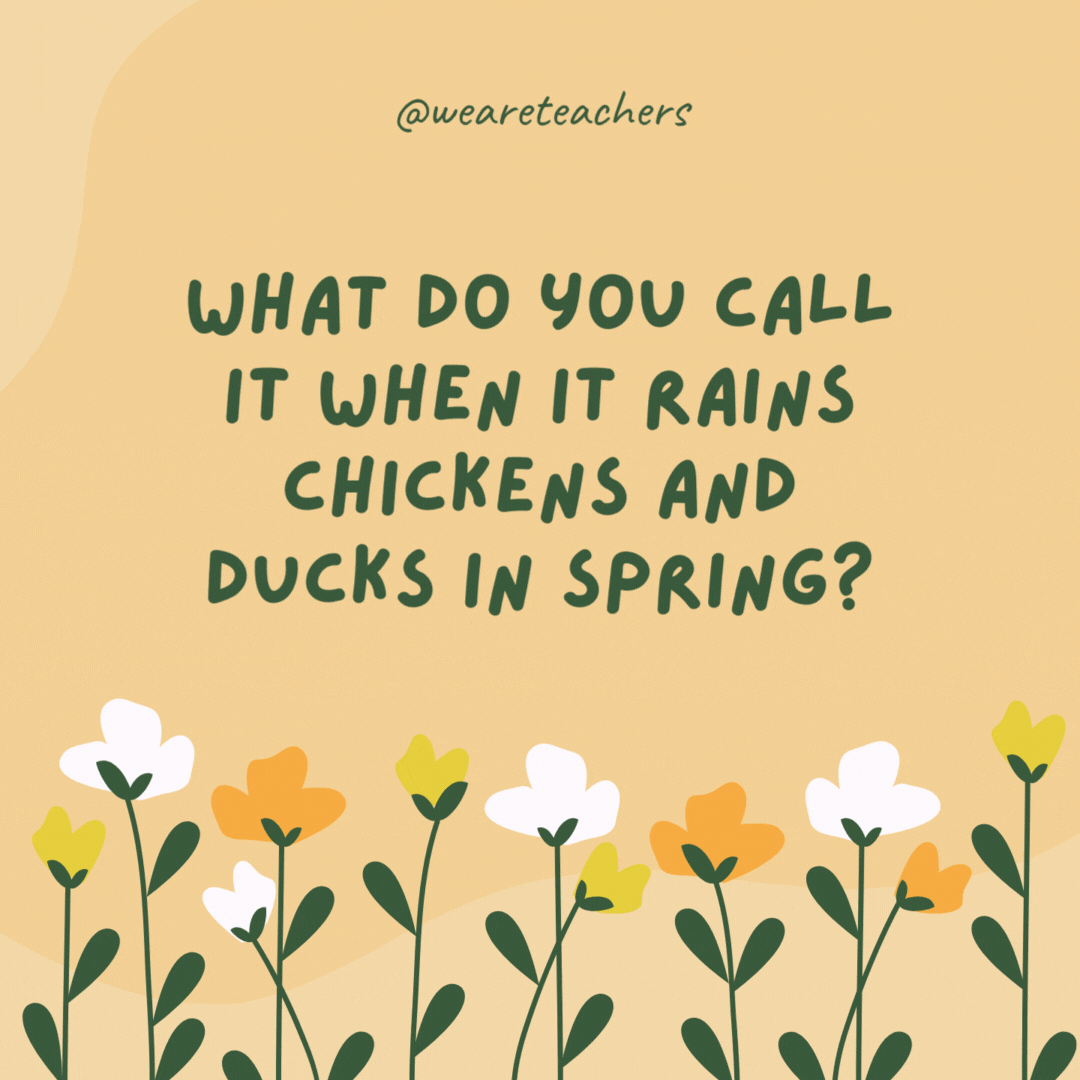 What do you call it when it rains chickens and ducks in spring?

Fowl weather.