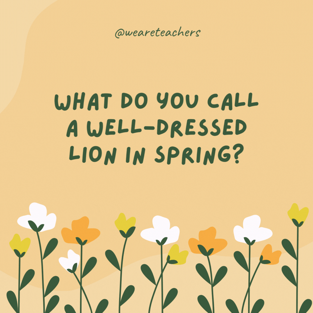 What do you call a well-dressed lion in spring?

A dandy-lion.