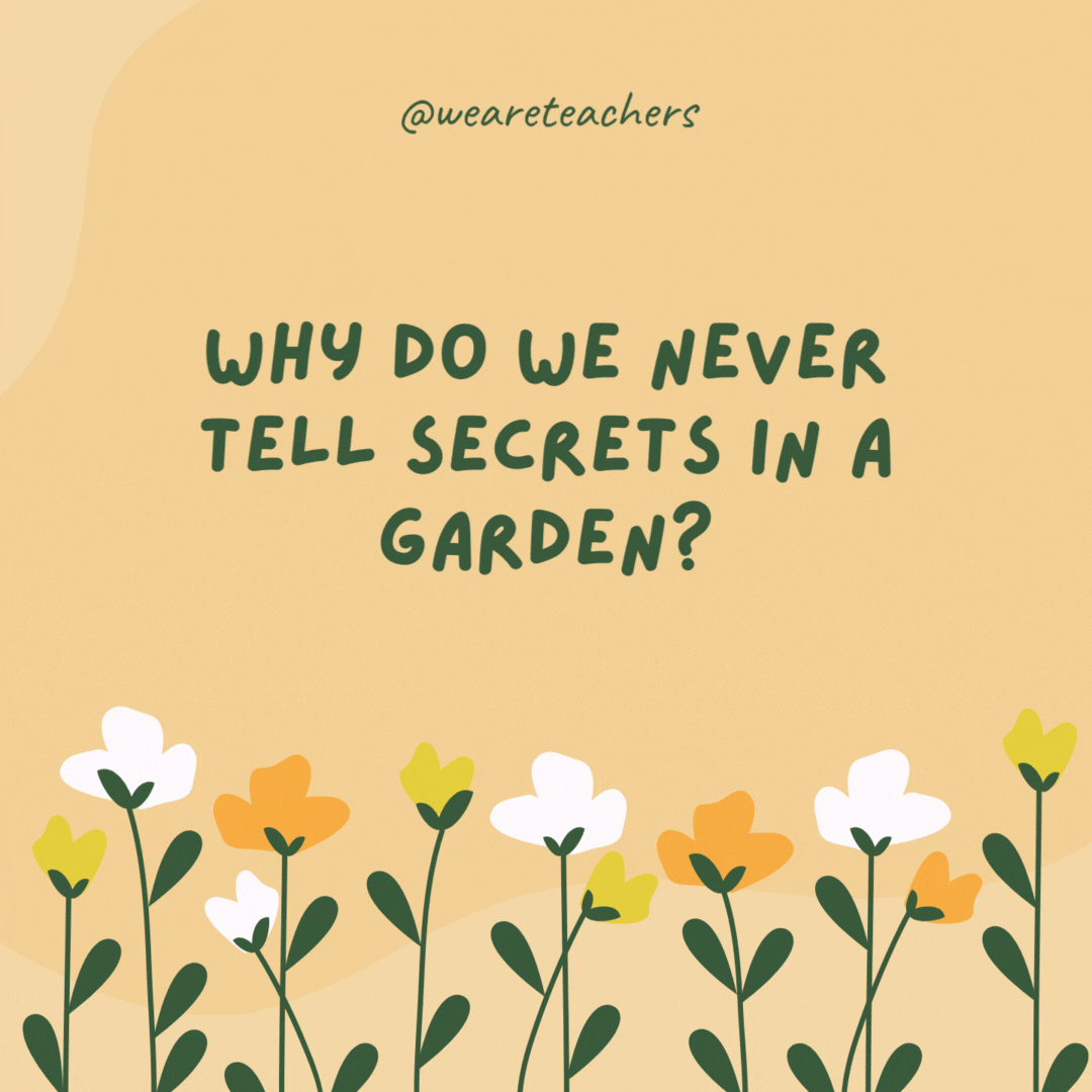 Why do we never tell secrets in a garden?

Because the potatoes have eyes, the corn has ears, and the beans stalk.