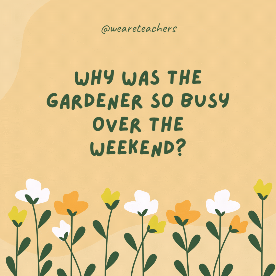 Why was the gardener so busy over the weekend?

Because his plants were in 