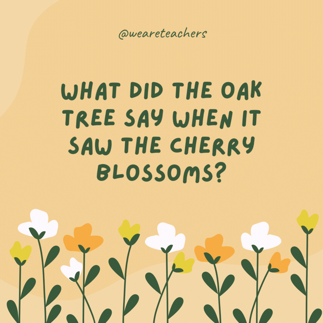 What did the oak tree say when it saw the cherry blossoms?

"You look blooming marvelous!"