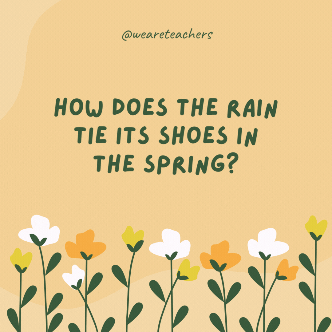 How does the rain tie its shoes in the spring?

With a rainbow.