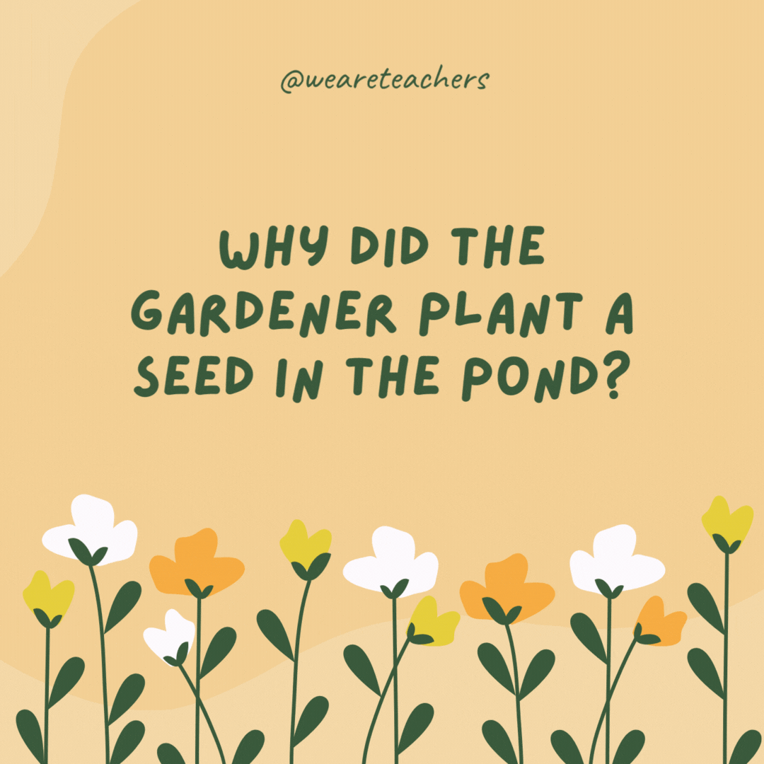 Why did the gardener plant a seed in the pond?

He wanted to grow a water-melon.
