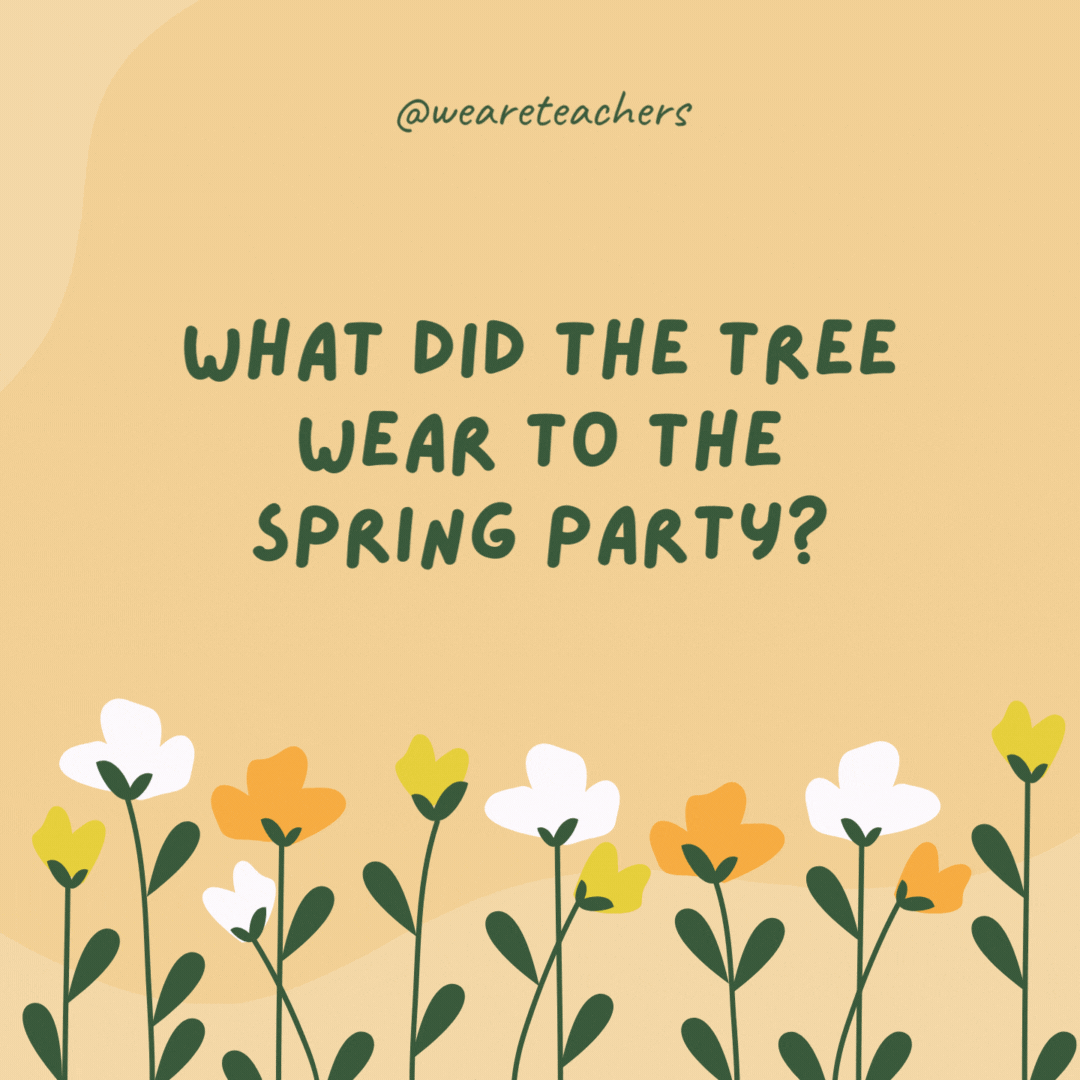 What did the tree wear to the spring party?

A new leaf.