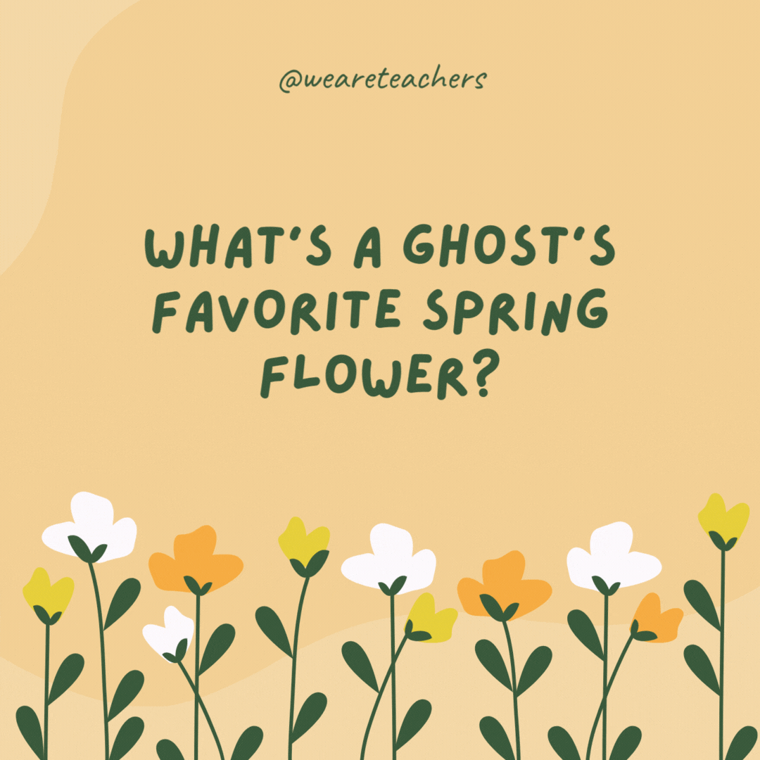What’s a ghost’s favorite spring flower?

Boo-lips.- spring jokes