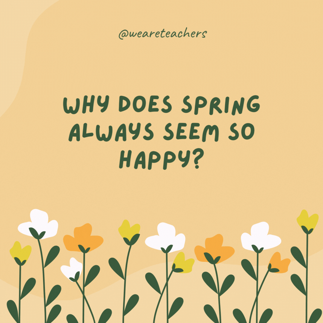 Why does spring always seem so happy?

Because it likes to bounce back.