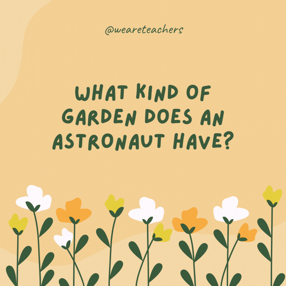 What kind of garden does an astronaut have?

A space garden, where the stars bloom in spring.