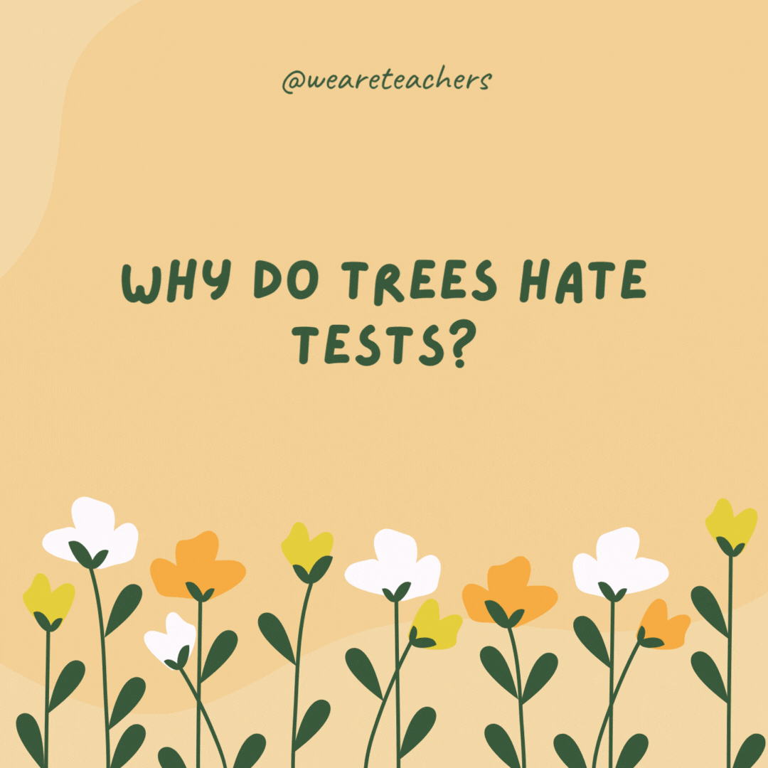 Why do trees hate tests?

Because they get stumped by the questions.- spring jokes