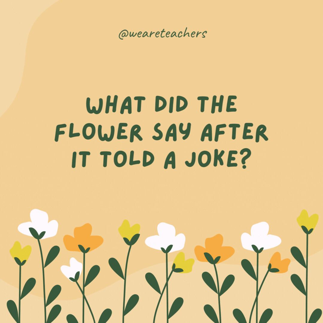 What did the flower say after it told a joke?

"I was just pollen your leg!"