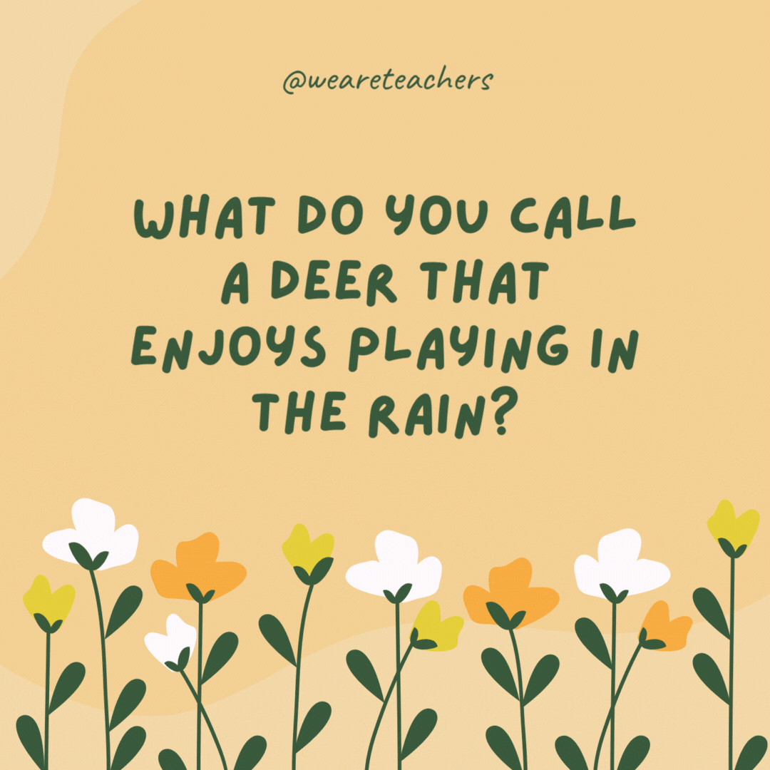What do you call a deer that enjoys playing in the rain?

A reindeer.