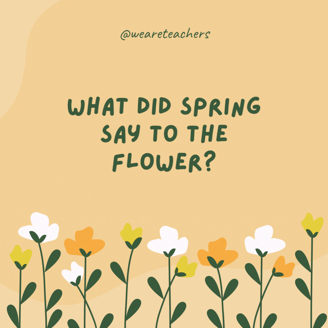 What did spring say to the flower?

"I've got you covered!"