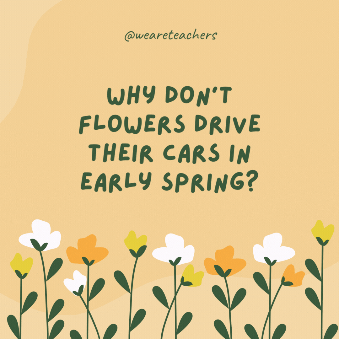 Why don't flowers drive their cars in early spring?

They're afraid of spring potholes.