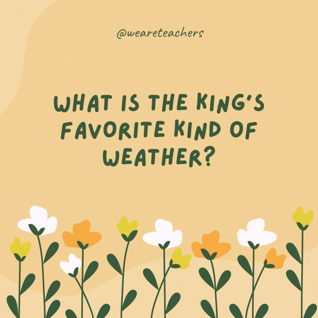 What is the king's favorite kind of weather?

Reign-y weather!- spring jokes