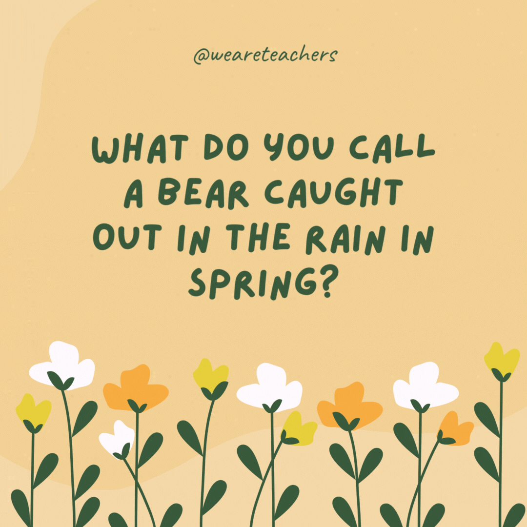 What do you call a bear caught out in the rain in spring?

A drizzly bear.