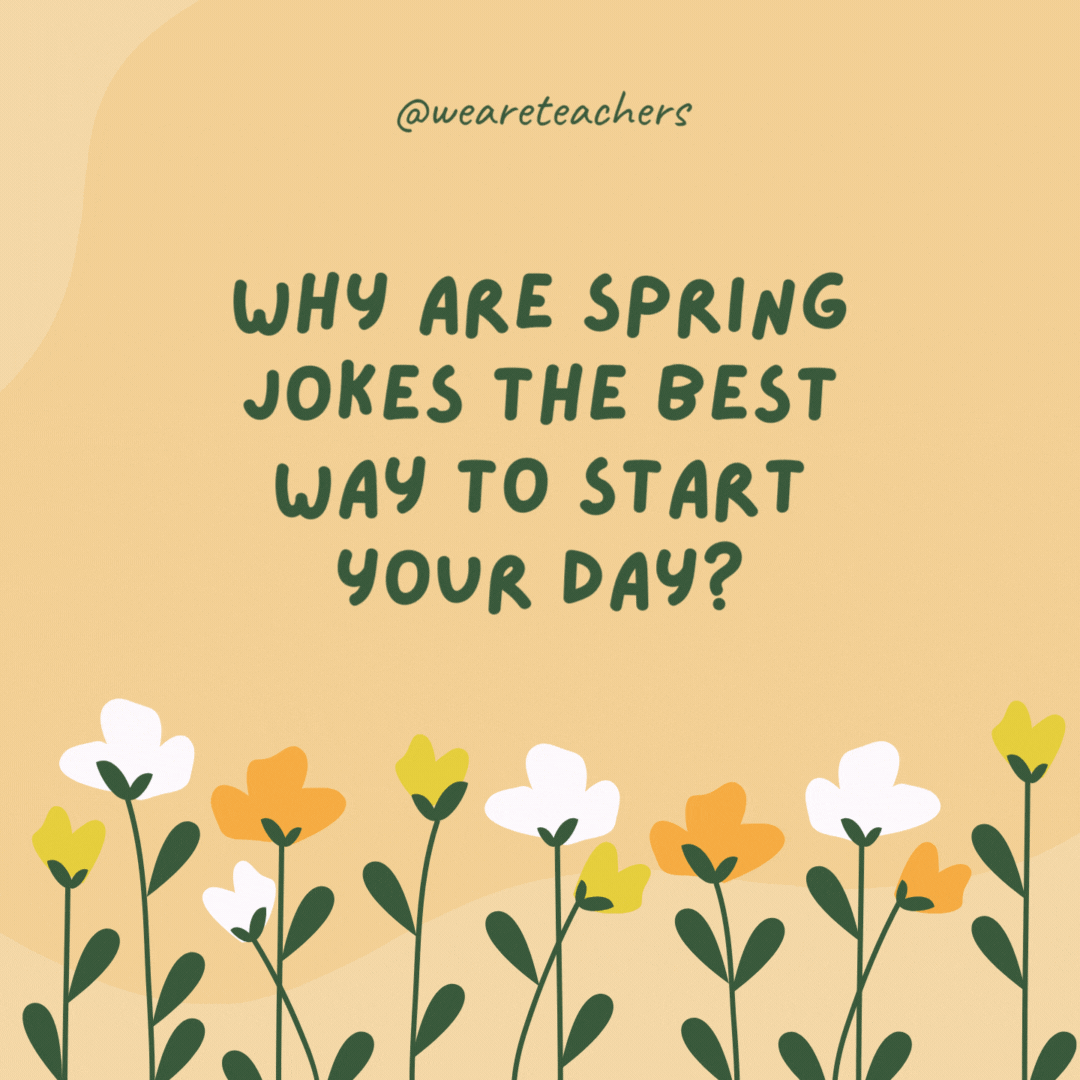 Why are spring jokes the best way to start your day?

Because they plant a smile on your face.