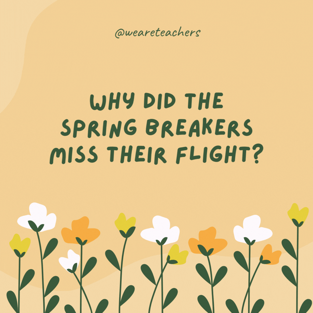 Why did the spring breakers miss their flight?

They had no spring in their step.- spring jokes