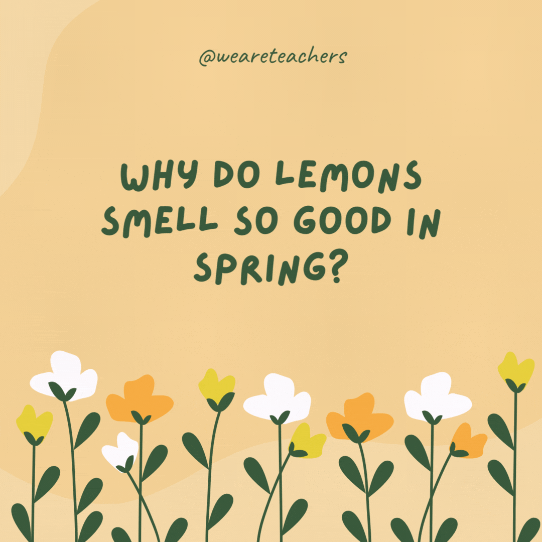 Why do lemons smell so good in spring?

Because they're zest-ful of the season.